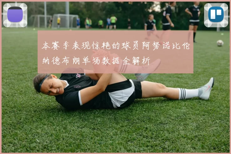 本赛季表现惊艳的球员阿努诺比伦纳德布朗单场数据全解析