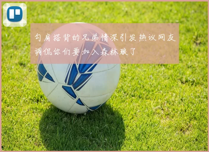 勾肩搭背的兄弟情深引发热议网友调侃你们要加入森林狼了