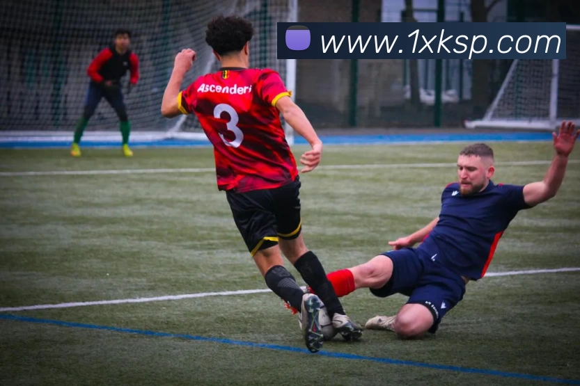 星空体育官网APP 封面图